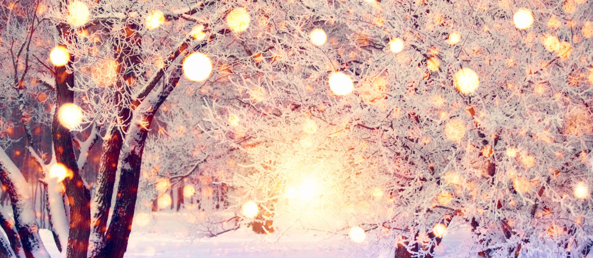 Frauenärztin Grünwald